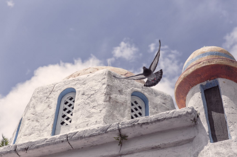 كاثلين الين الدنيا مدرسة